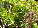 20010527121832.jpg